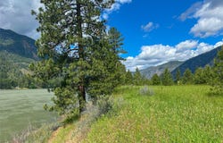 20 Eddy Flat Lane, Thompson Falls, MT 59873