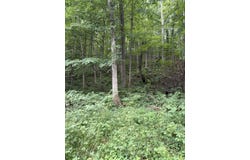 E Riverside Drive lot: B, Lowell, MI 49331