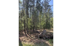 L14 B39 Antioch Drive, McCormick, SC 29835