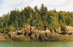 Mill Creek Lane, Lubec, ME 04652