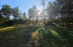 10690 Rover, Roscommon, MI 48653