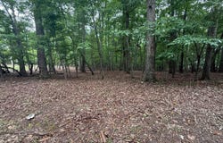 Saunders Point Road, Huddleston, VA 24104