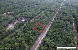GLORIA, Interlachen, FL 32148