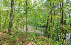 Motlow Creek Road, Campobello, SC 29322