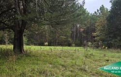 FM 62, Corrigan, TX 75939