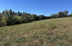 358 Bobtown Garnett Road, Cynthiana, KY 41031