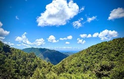 Cayey, Cayey, PR 00736