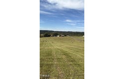 970 Foxford Road, Greeneville, TN 37743