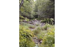 001 Harmony Road, Athens, ME 04912