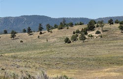 PD 1796, Chama, NM 87520