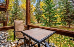 846 Blue River Parkway, SILVERTHORNE, CO 80498