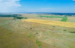 N County Rd, Coldwater, KS 67029