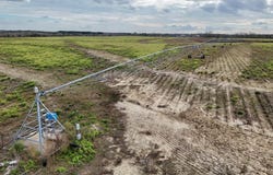CR 28, Slocomb, AL 36375