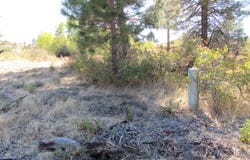 Forest View Drive, Chiloquin, OR 97624