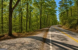 Davis Road, Eastanollee, GA 30538