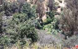 2314 N Merrywood Dr, Los Angeles, CA 90046