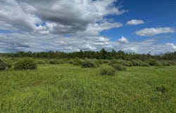 Mahogany Street, Mora, MN 55051