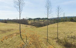 Carsonville Road, Independence, VA 24348