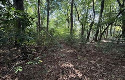 Rich Pine Drive lot: 119, Purlear, NC 28665
