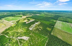 Cockfield Road, Scranton, SC 29591