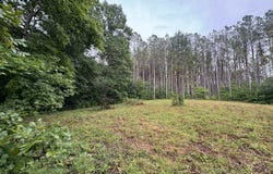 Johnson Hollow Rd, STEWART, TN 37175