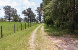 3101 Breastworks Rd, Mcdavid, FL 32568