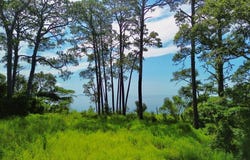 3206 Hwy 98 E, Carrabelle, FL 32323
