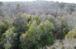 State Hwy 605, Slocomb, AL 36375