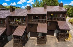 21 Castle Road, Mt. Crested Butte, CO 81225