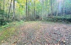 Buck Drive, Hays, NC 28649