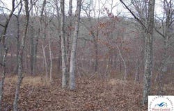 Bast Place lot: 3'S 2531 And 2530, Edwards, MO 65326