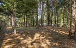 5651 Daisy Cir, Pollock Pines, CA 95726