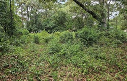 860 Lewis Road, Sumter, SC 29154