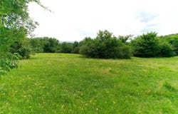 TBD Pine lot: 0, Altus, AR 72821