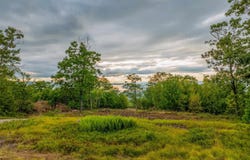 Long Stack Lane lot: 55, Alton, NH 03809