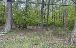 Us Rt 611 2, Swiftwater, PA 18370
