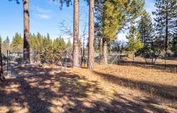 Serpentine Lane, Burney, CA 96013
