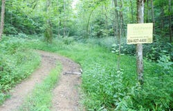Flatwoods Run, Sutton, WV 26601