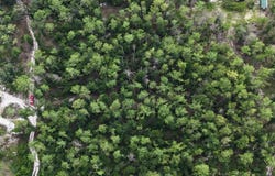 14TH TRACE, Live Oak, FL 32060
