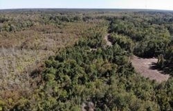 Broxton Bridge Road, Bamberg, SC 29003
