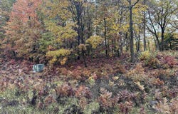 N Circle E lot: #5, Farwell, MI 48622