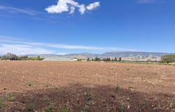310 Lena AVE, GILROY, CA 95020