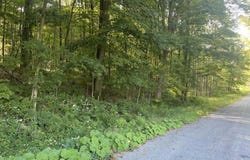 Churchill Road, New Lebanon, NY 12125
