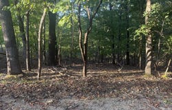 Lake Road, Sunrise Beach, MO 65079