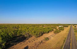FM 2279, Rochester, TX 79544
