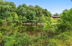 2186 County Road 502, Gainesville, MO 65655