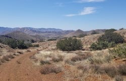 Rolandee Street, Acton, CA 93510