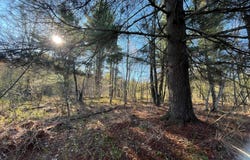Lafaver Rd, Hermon, NY 13652