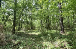 Mccomb Holmesville Road, McComb, MS 39648