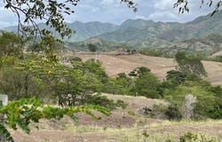 Pasto, Coamo, PR 00769